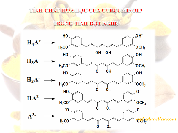 Tính chất hóa học của Curcuminoid trong tinh bột nghệ.