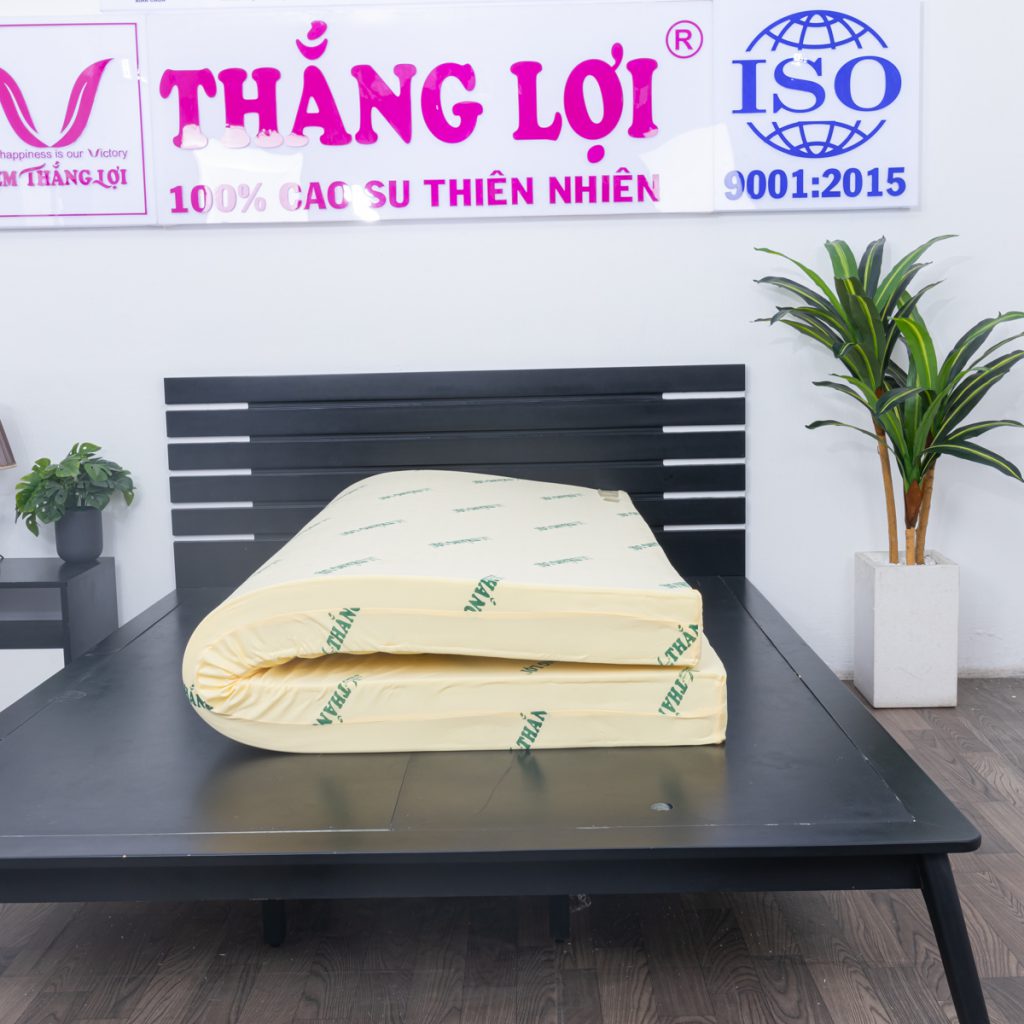 Nệm cao su non Thắng Lợi