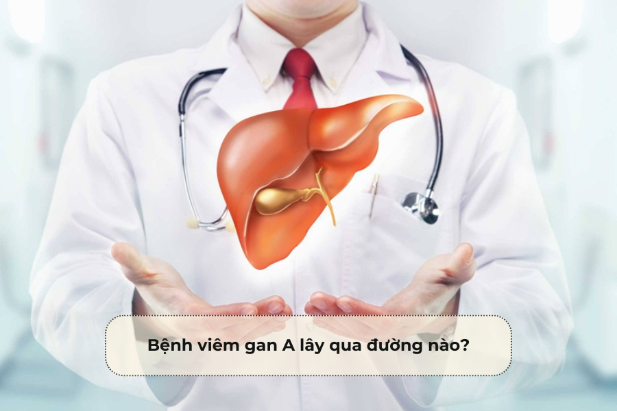 Bệnh viêm gan A lây qua đường nào