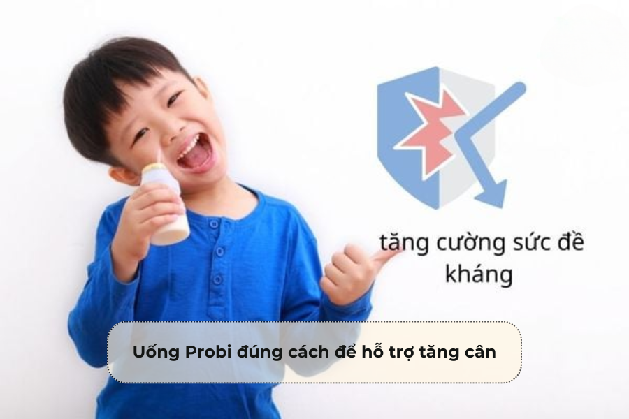 Uống Probi đúng cách để hỗ trợ tăng cân