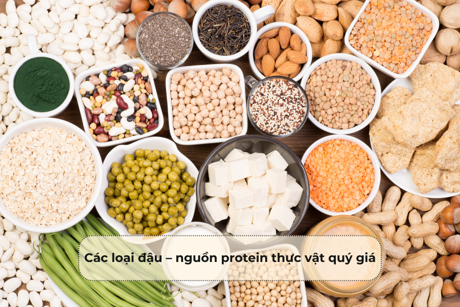 Các loại đậu – nguồn protein thực vật quý giá