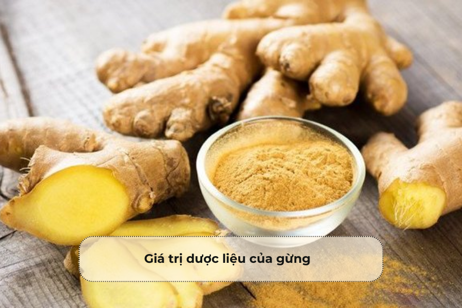 Giá trị dược liệu của gừng