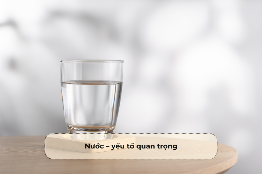 Nước – yếu tố quan trọng