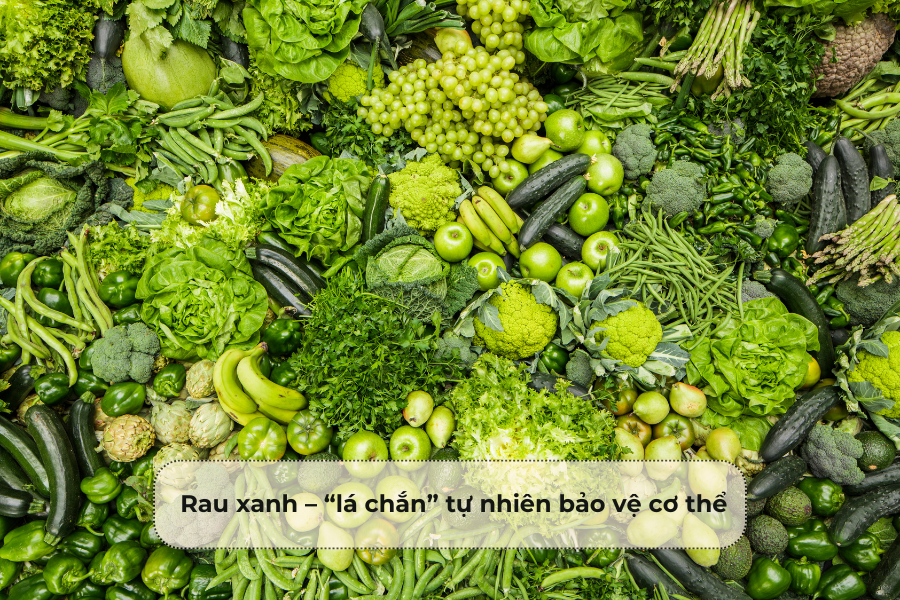 Rau xanh – “lá chắn” tự nhiên bảo vệ cơ thể