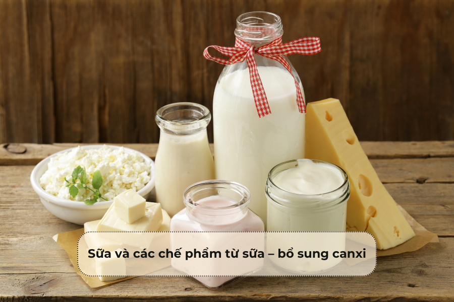 Sữa và các chế phẩm từ sữa – bổ sung canxi