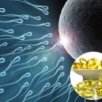Vitamin e kích thích rụng trứng, hỗ trợ sinh sản cho phụ nữ