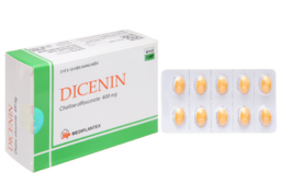 Choline Alfoscerate – Loại Hoạt Chất Hỗ Trợ Não Bộ Mà Bạn Cần Biết