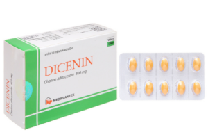 Choline Alfoscerate – Loại Hoạt Chất Hỗ Trợ Não Bộ Mà Bạn Cần Biết