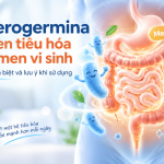 Enterogermina là men tiêu hóa hay men vi sinh? Cách phân biệt và lưu ý khi sử dụng Enterogermina là men tiêu hóa hay men vi sinh? Cách phân biệt và lưu ý khi sử dụng