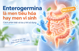 Enterogermina là men tiêu hóa hay men vi sinh_ Cách phân biệt và lưu ý khi sử dụng